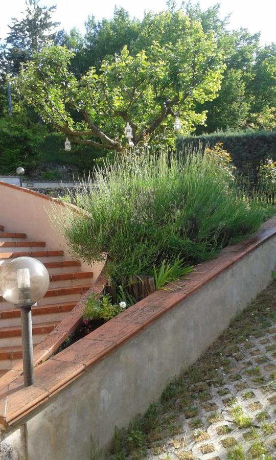 Villa Rosa Caporciano エクステリア 写真